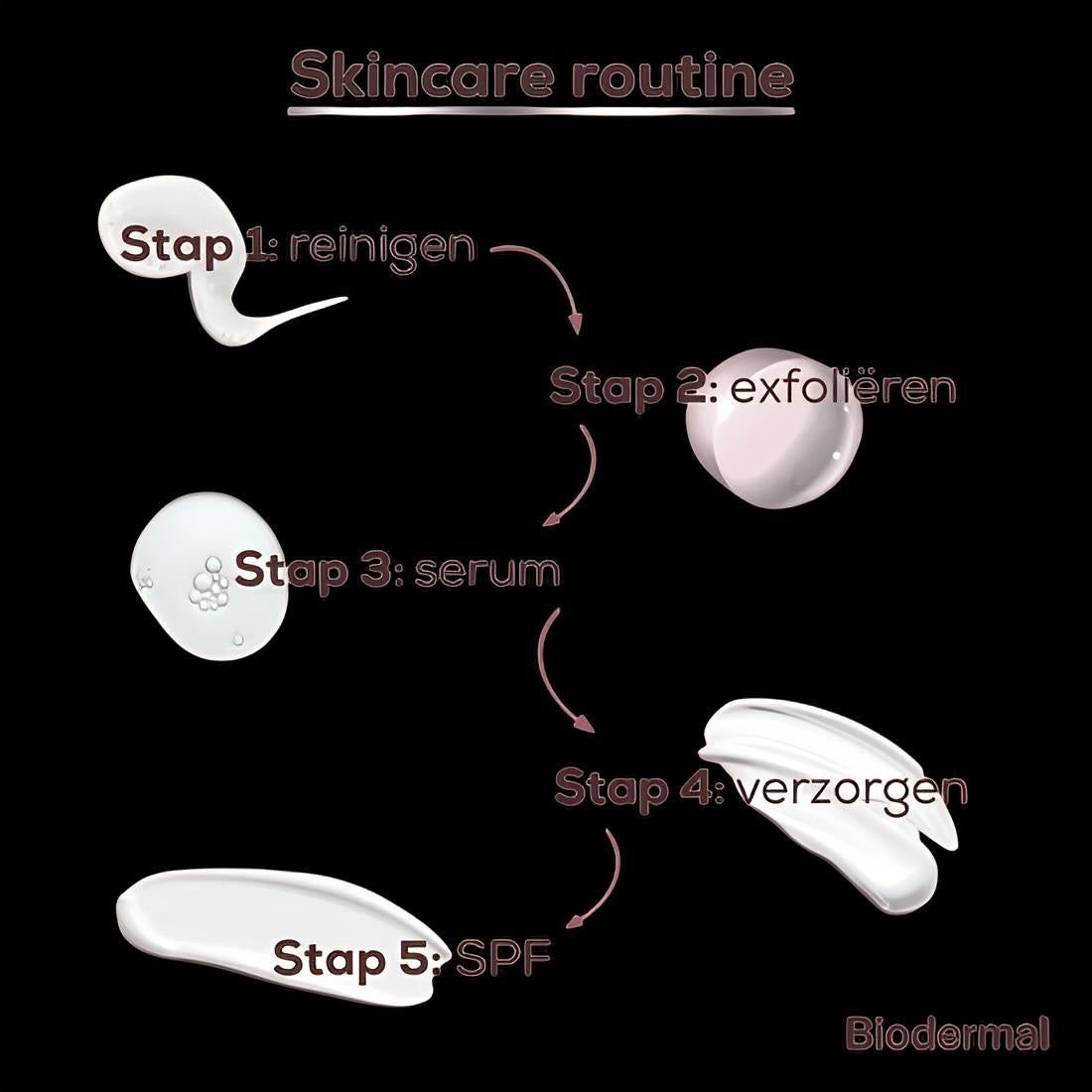 Biodermal gezichtsolie - Renewing Face Oil met krachtige huideigen antioxidanten Q10 - Perfect te mengen met dagcrème - Anti age Olie - 30ml